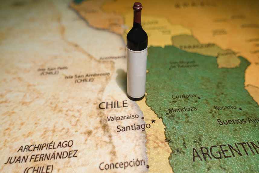 Discovering Chile's red and white wines: here are the labels not to be missed!
